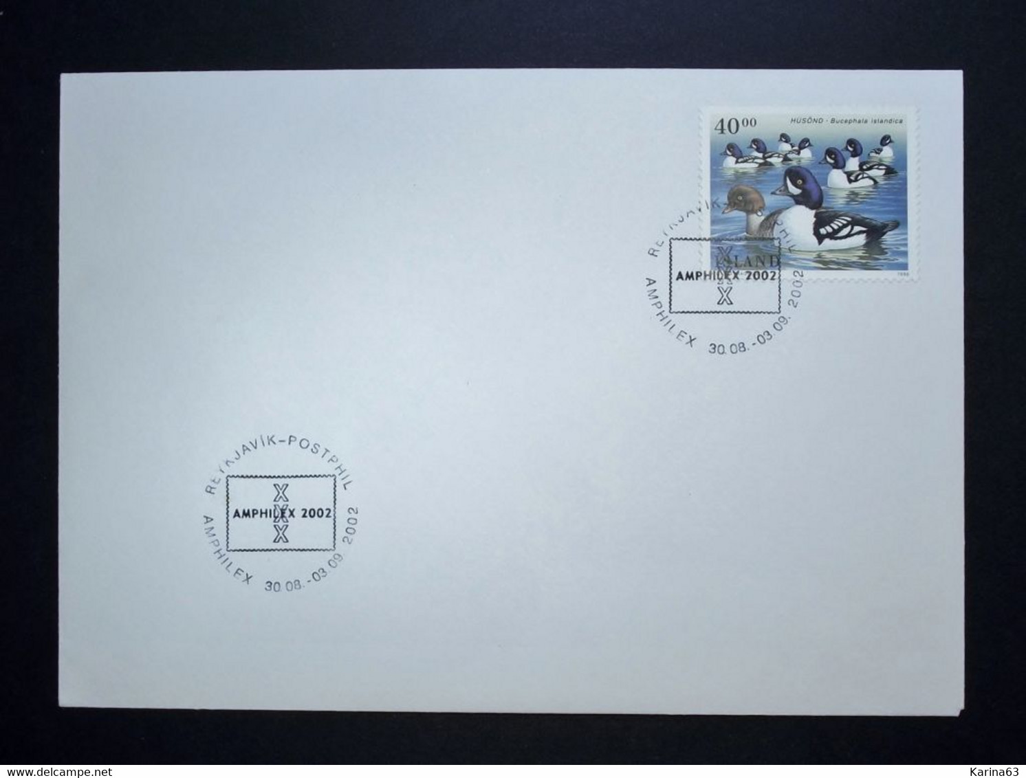 Island - Iceland - 1996 -  Birds - Canard - Duck - Eend - Y.T. 794  - Obl Amphidex 2002 - Covers & Documents