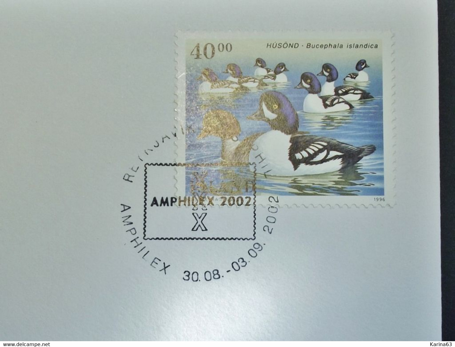 Island - Iceland - 1996 -  Birds - Canard - Duck - Eend - Y.T. 794  - Obl Amphidex 2002 - Covers & Documents