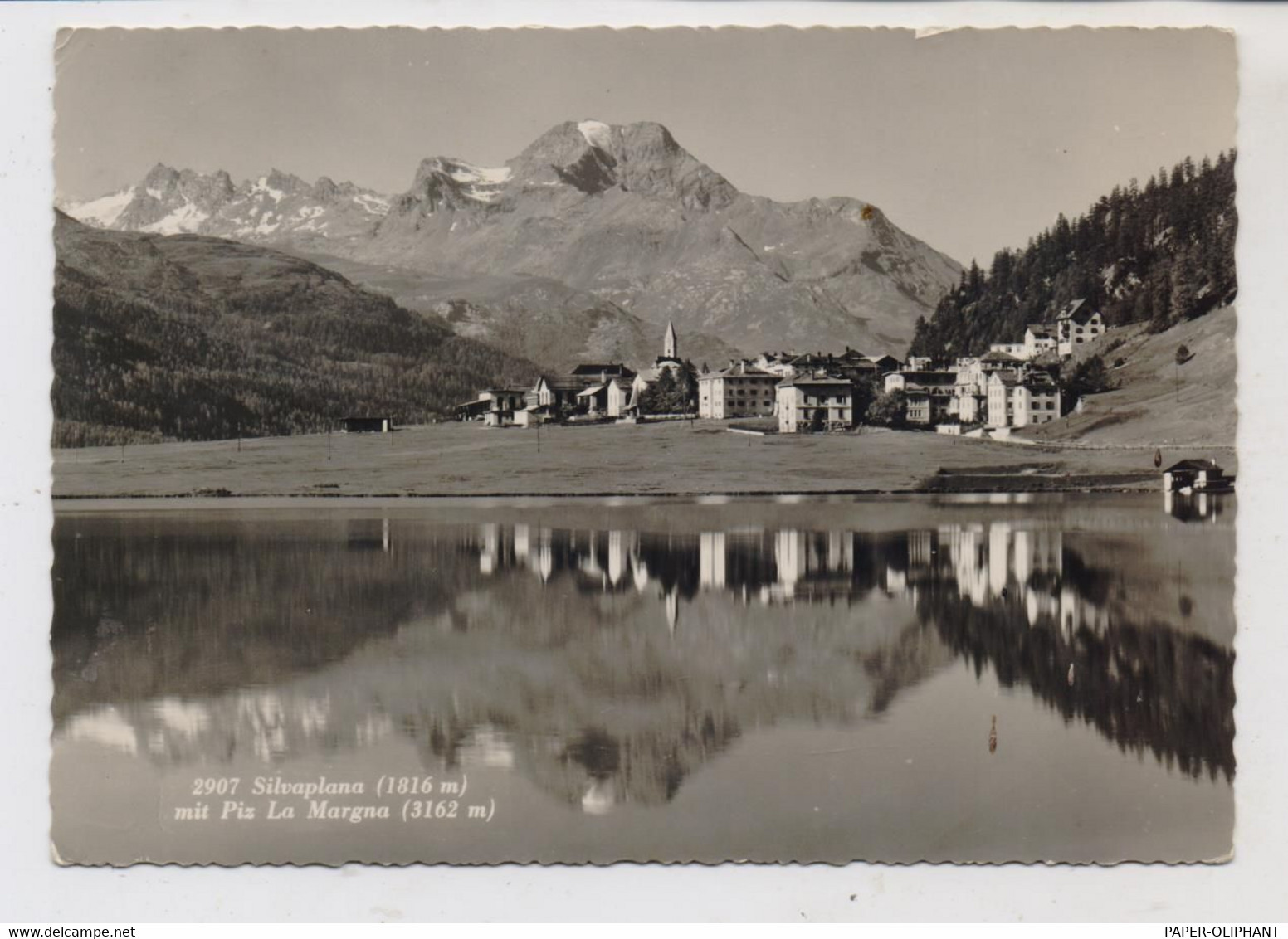 CH 7513 SILVAPLANA GR, Ortsansicht Mit Piz La Margna, 1950 - Silvaplana