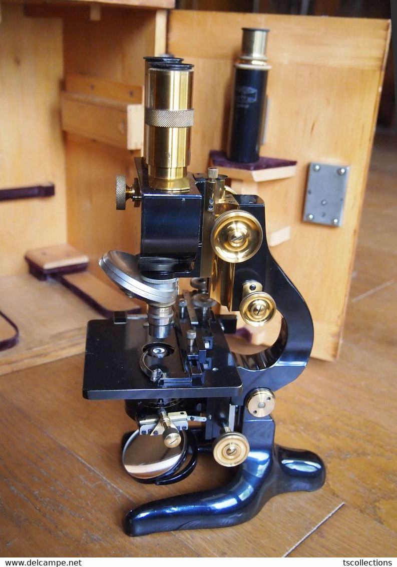 Microscope Binoculaire Seibert Wetzlar - Altri Apparecchi