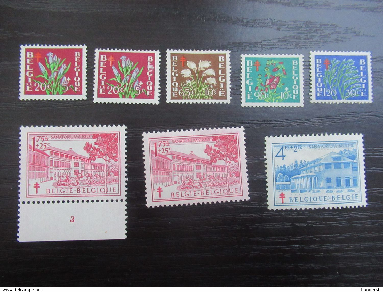 Lotje 'Sanatoria' - Ongebruikt * - Unused Stamps