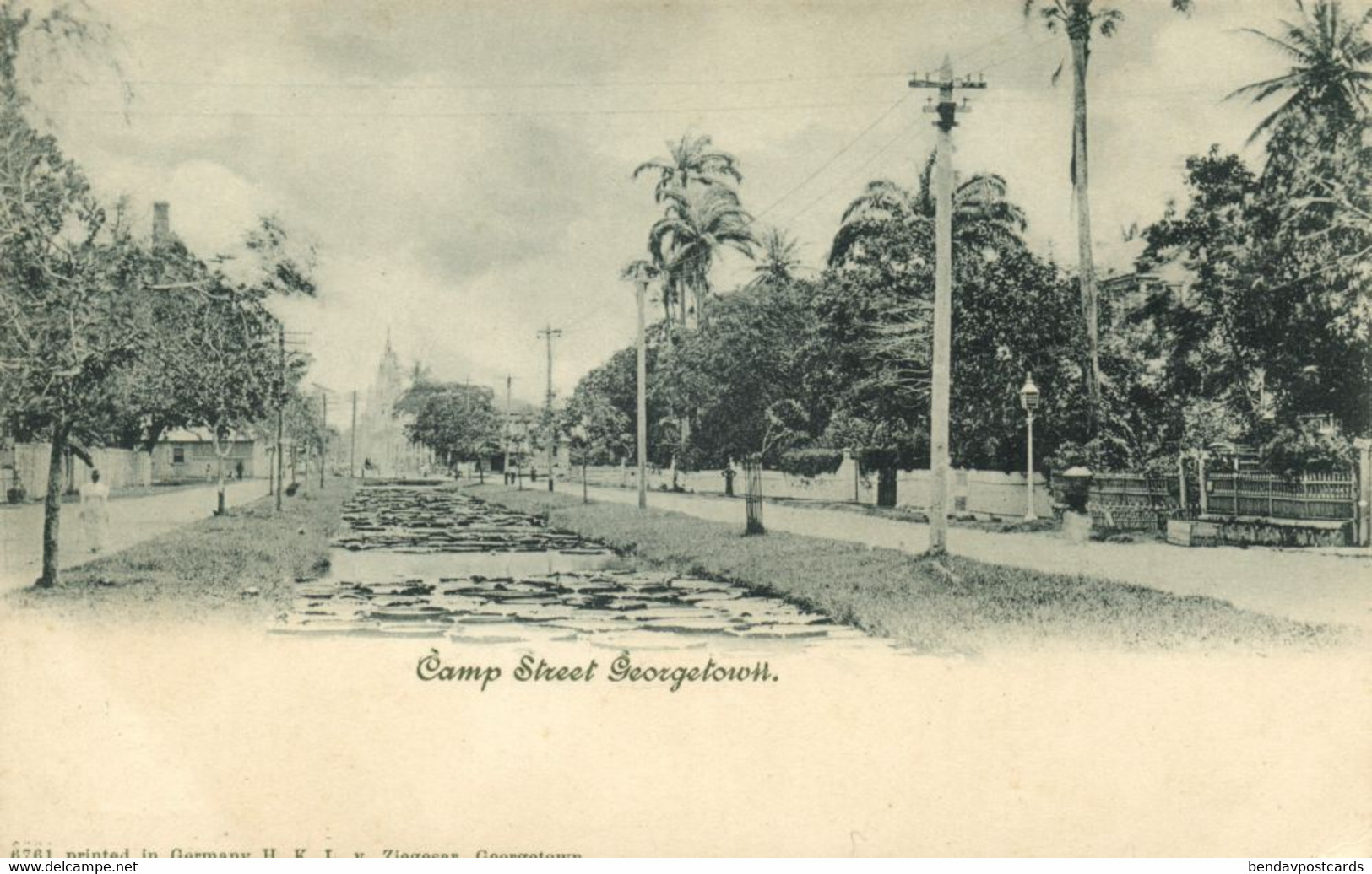 British Guiana, Guyana, Demerara, GEORGETOWN, Camp Street (1900s) Postcard (1) - Guyana (ehemals Britisch-Guayana)