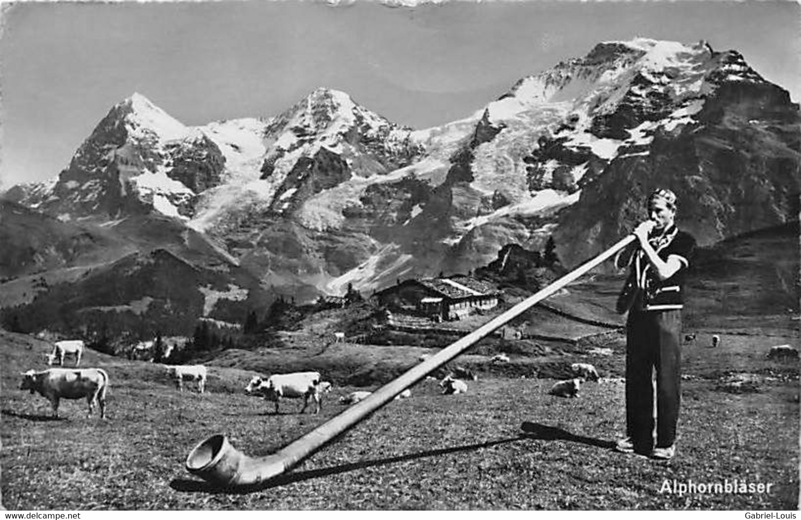 Alphornbläser Joueur De Cor Des Alpes Eiger Jungfrau Mürren - Mürren