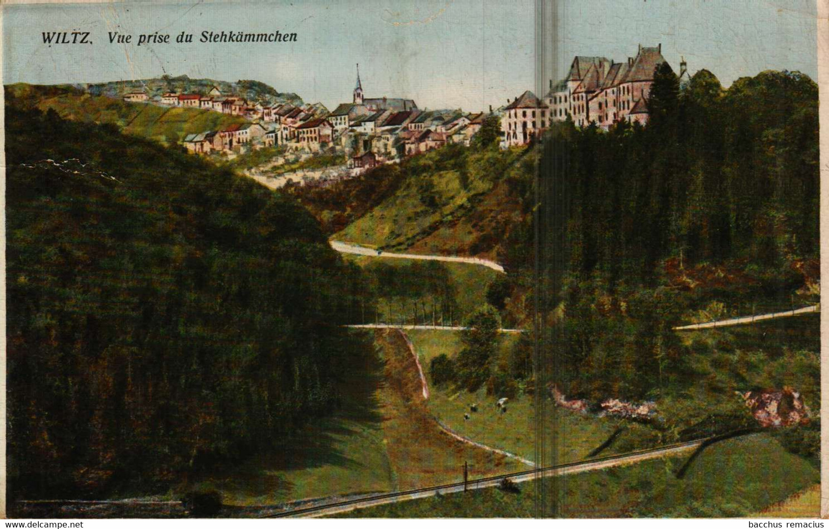 WILTZ   Vue Prise Du Stehkämmchen" (colorée) - Wiltz