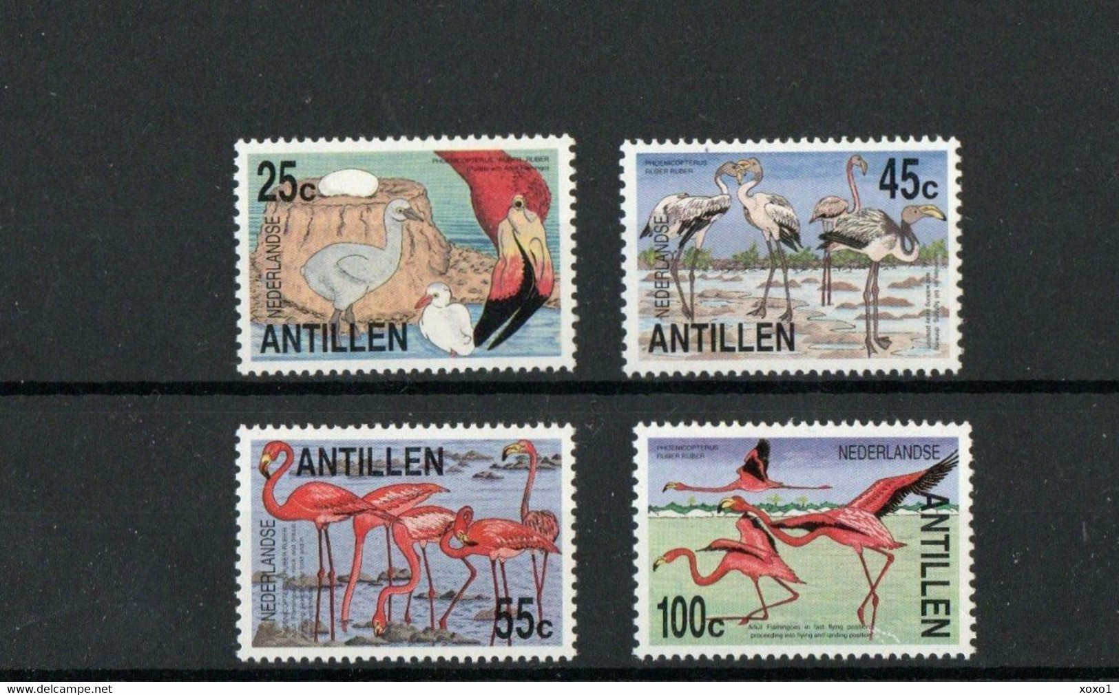 Netherlands Antilles 1985 MiNr. 545 - 548 Niederländische Antillen Birds American Flamingo 4v  MNH** 7.00 € - Flamingo