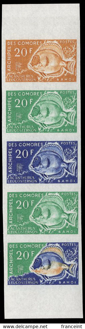 COMOROS(1968) Surgeonfish. Trial Color Proofs In Strip Of 5 With Multicolor. Scott No 74, Yvert No 47. - Autres & Non Classés