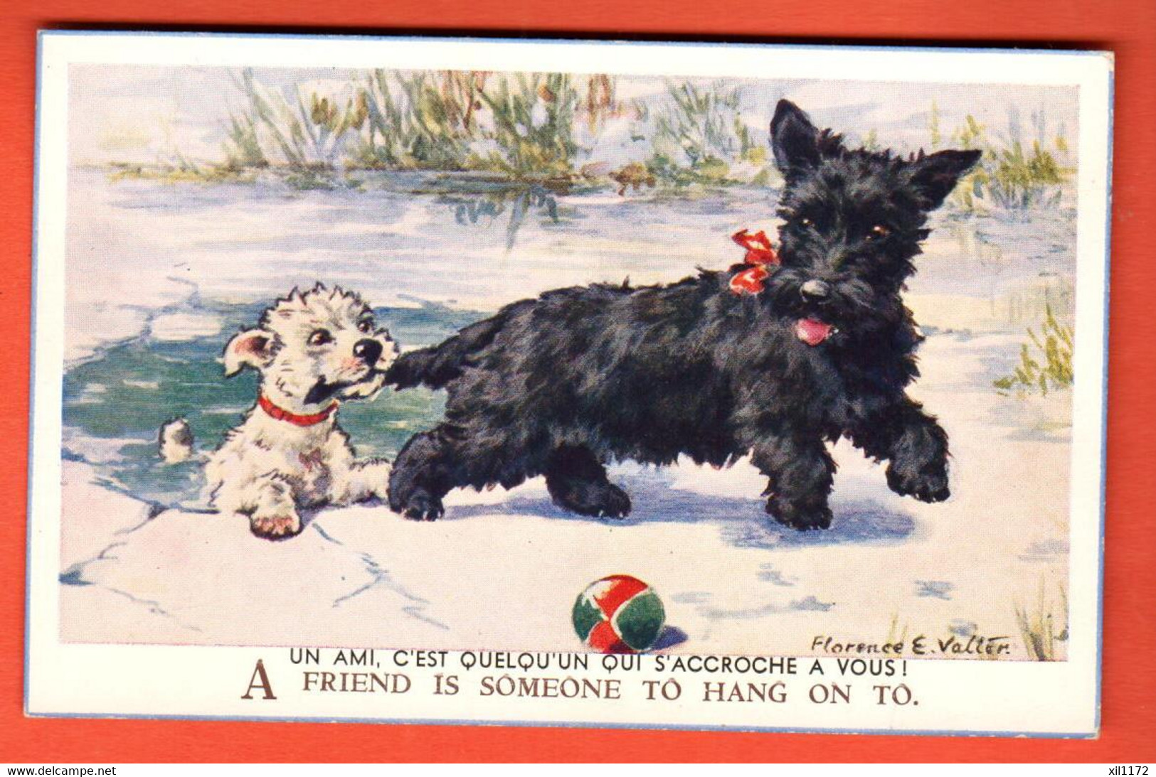 NAGT-18 Illustrator Florence Valter A Friend Is Someone To Hang On To. Dogs Chiens Hunde. Valentine Post Card. Not Used - Valter, Fl. E.