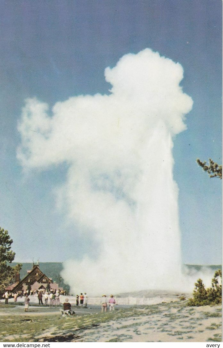"Old Faithful" Geyser, Yellowstone National Park, Wyoming  Union Pacific Railroad Pictorial Post Card - Yellowstone