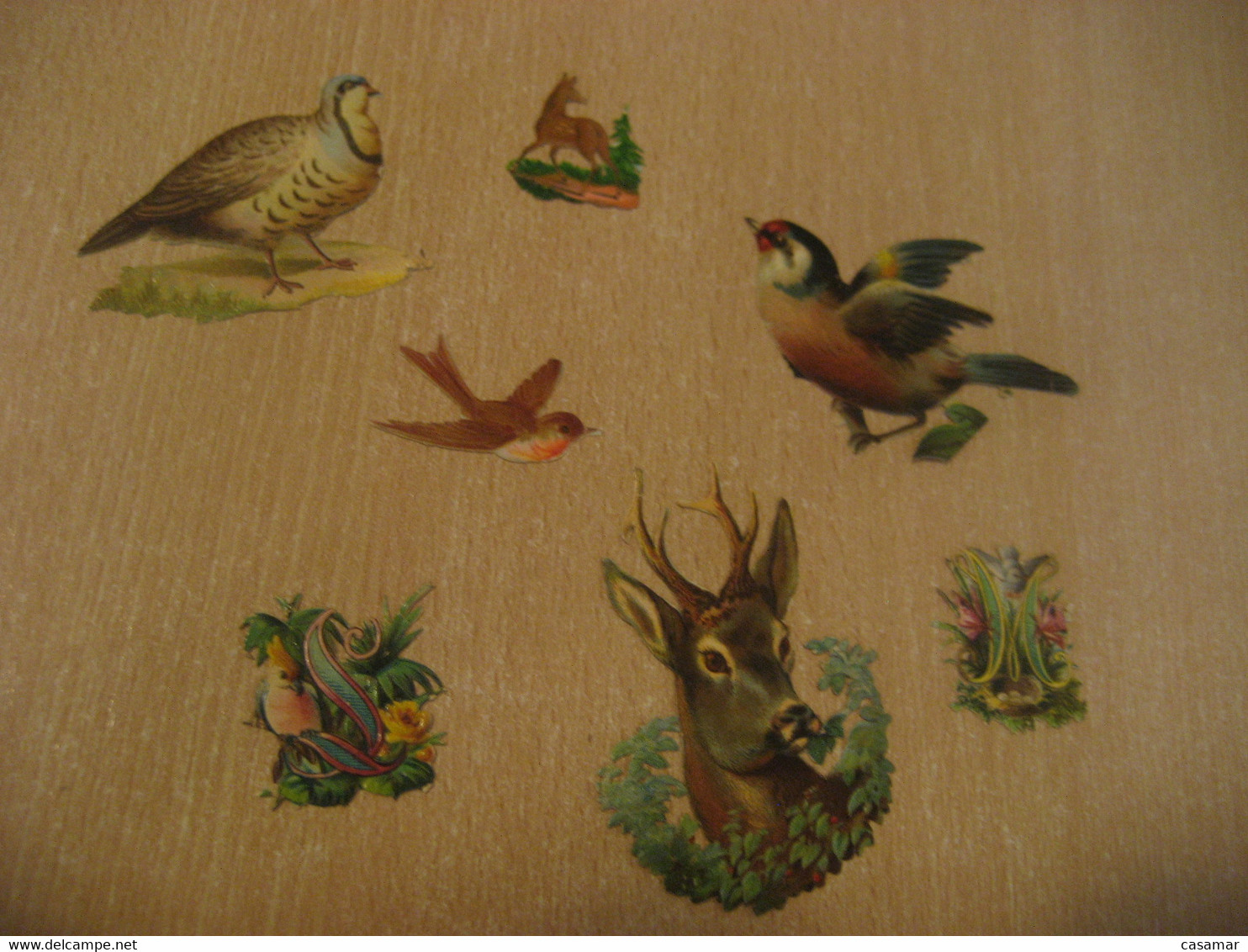 Animal Animals Birds Deer ... 7 Old Chromos Die-cuts Decoupis Chromo Decoupi Die-cut Year: ??? - Animales