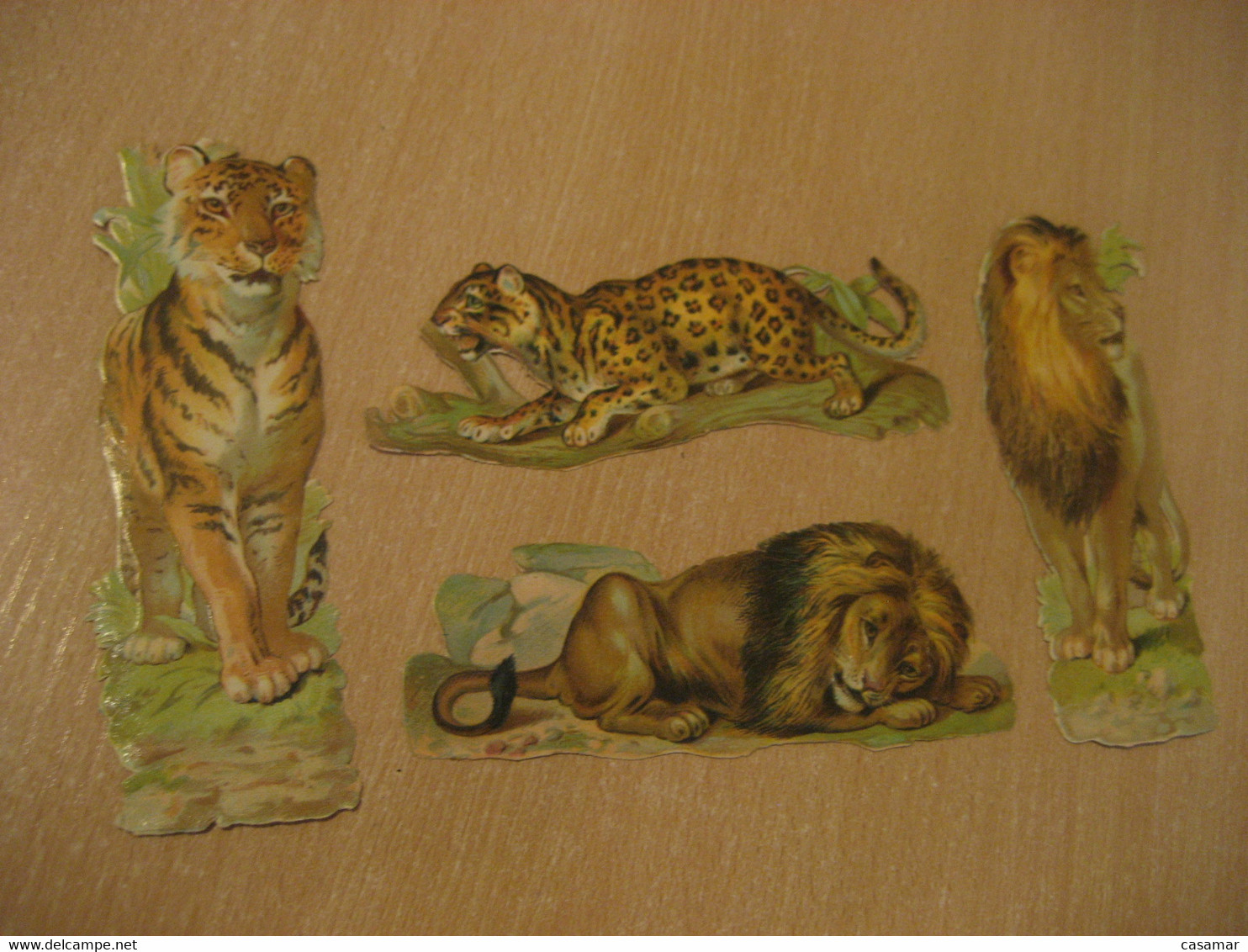 Chocolate Amatller Barcelona Lion Tiger Chocolat 4 Old Chromos Die-cuts Decoupis Chromo Decoupi Die-cut Year: ??? - Animals