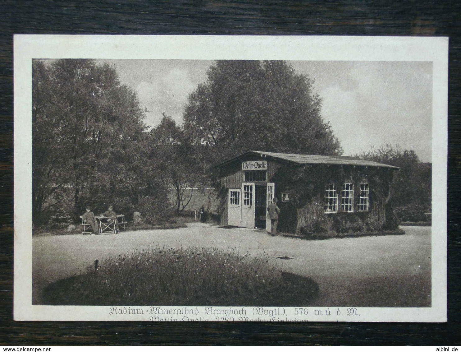 AK BAD BRAMBACH - Wettin-Quelle - Ca. 1910 - Bad Brambach