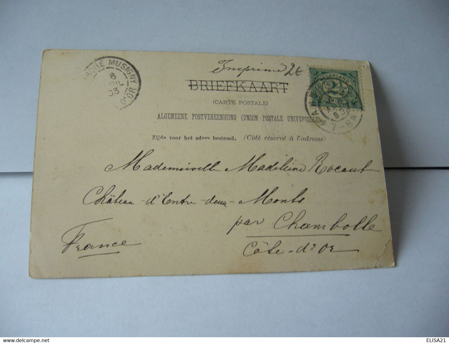 VELP  PAYS BAS HOLLAND HOLLANDE GELDERLAND KASTEEL BILJOEN ACHTERKANT CPA 1903 - Velp / Rozendaal