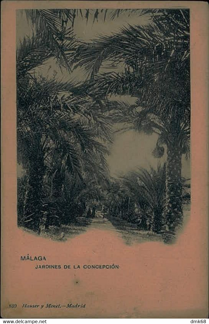 SPAIN - MALAGA - JARDIN DE LA CONCEPCION - EDIT HAUSER Y MENET - 1900s ( 15413) - Málaga