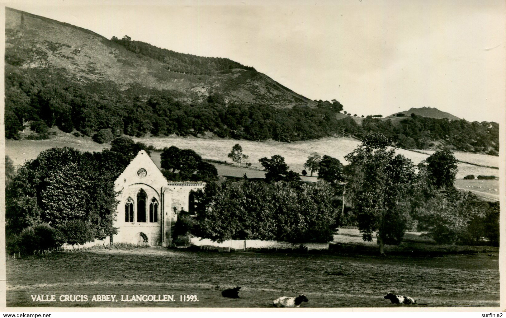 DENBIGHSHIRE -  LLANGOLLEN - VALLE CRUCIS ABBEY RP  Clw461 - Denbighshire