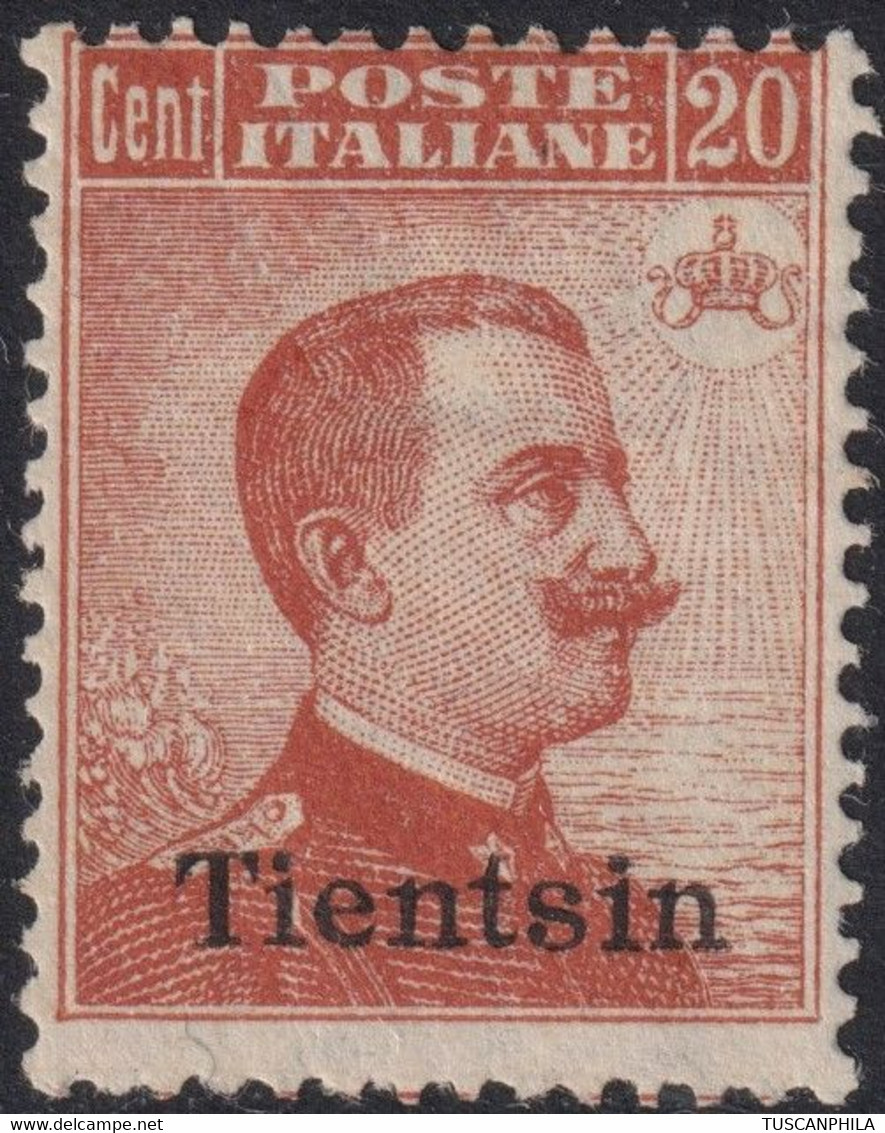 Tientsin 20 C. Arancio Sass 14 MNH** CV 175 - Tientsin