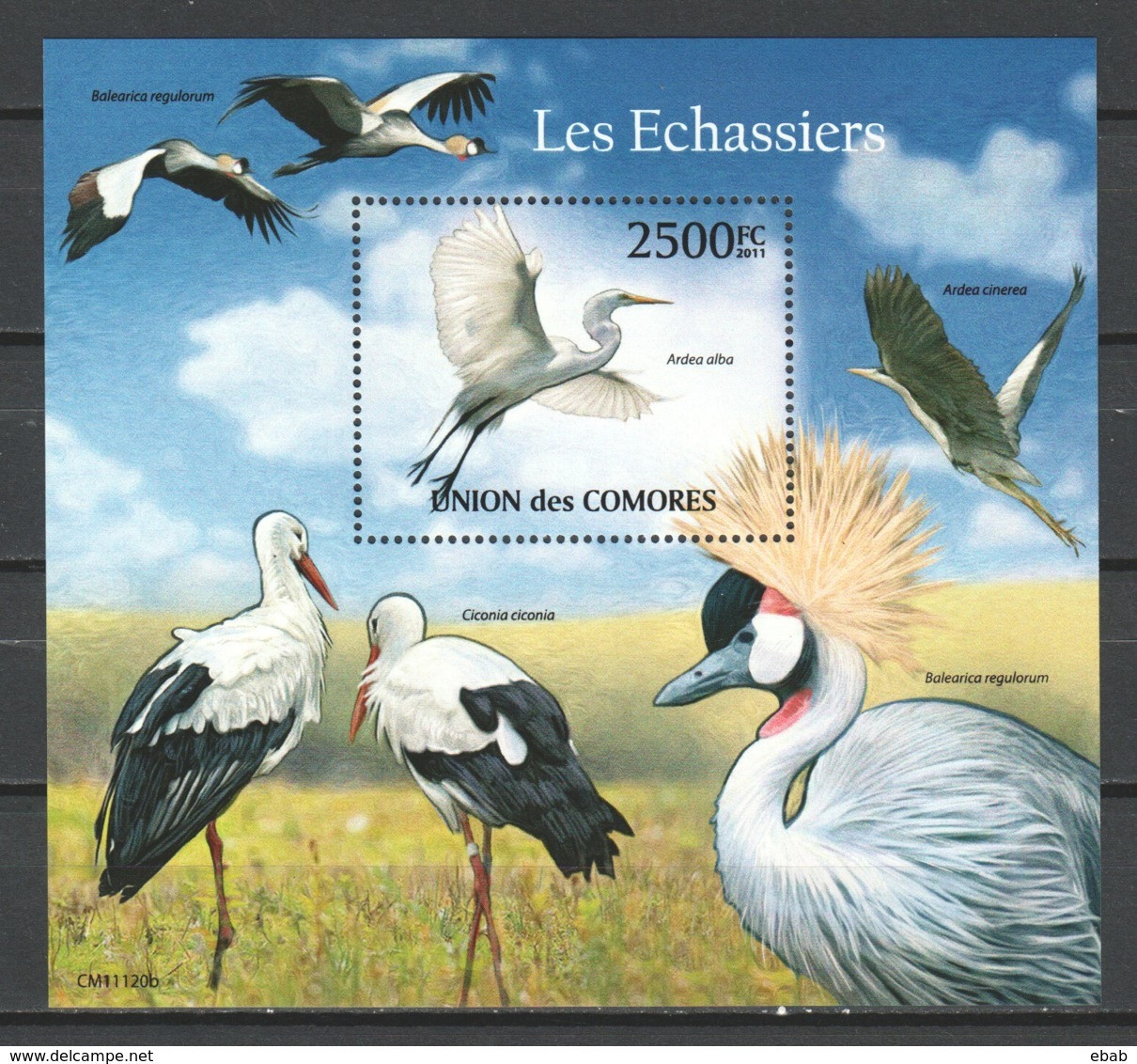 Comores 2011 Mi Block 627 MNH BIRDS - STORCH - HERON - Flamingo