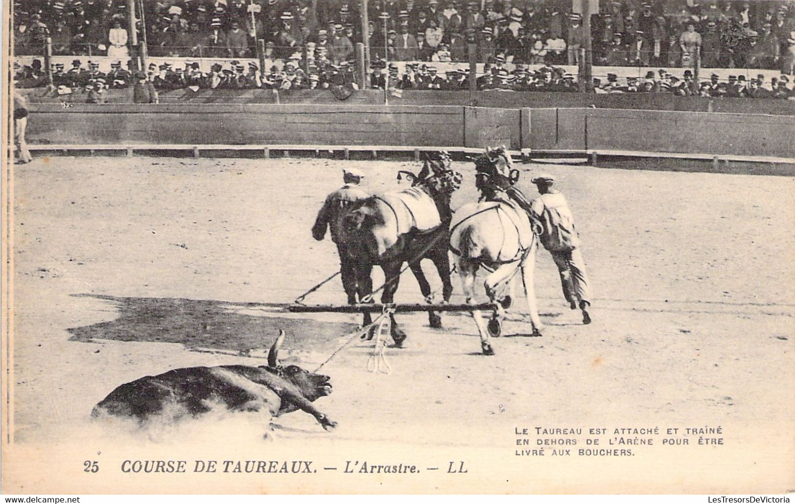 CPA - CORRIDA - 25 - Course De Taureaux - L'Arrastre - LL - Stierkampf