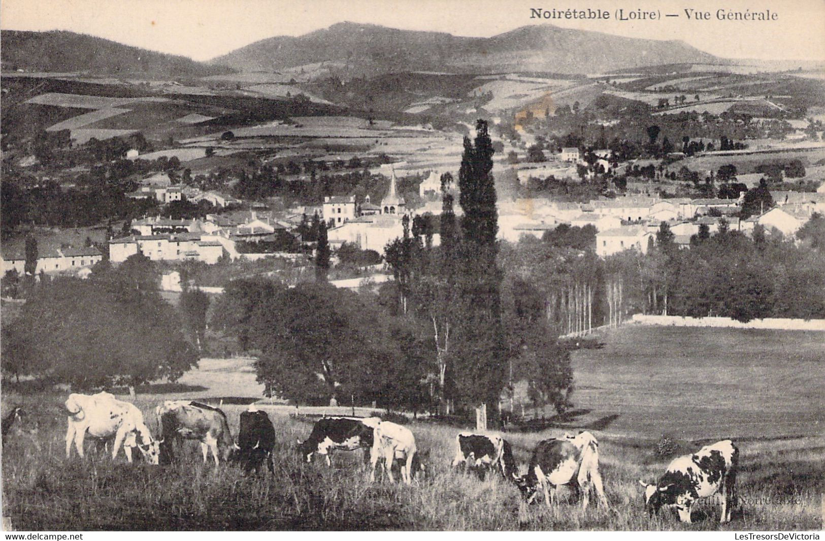 CPA - FRANCE - 42 - NOIRETABLE - Vue Générale - Cheptel De Vaches - Noiretable