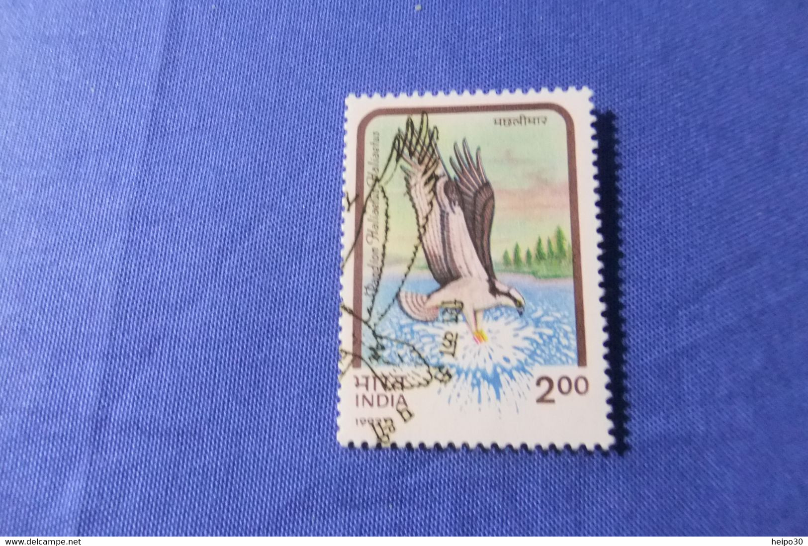 India 1992 Michel 1375 Greifvögel - Used Stamps