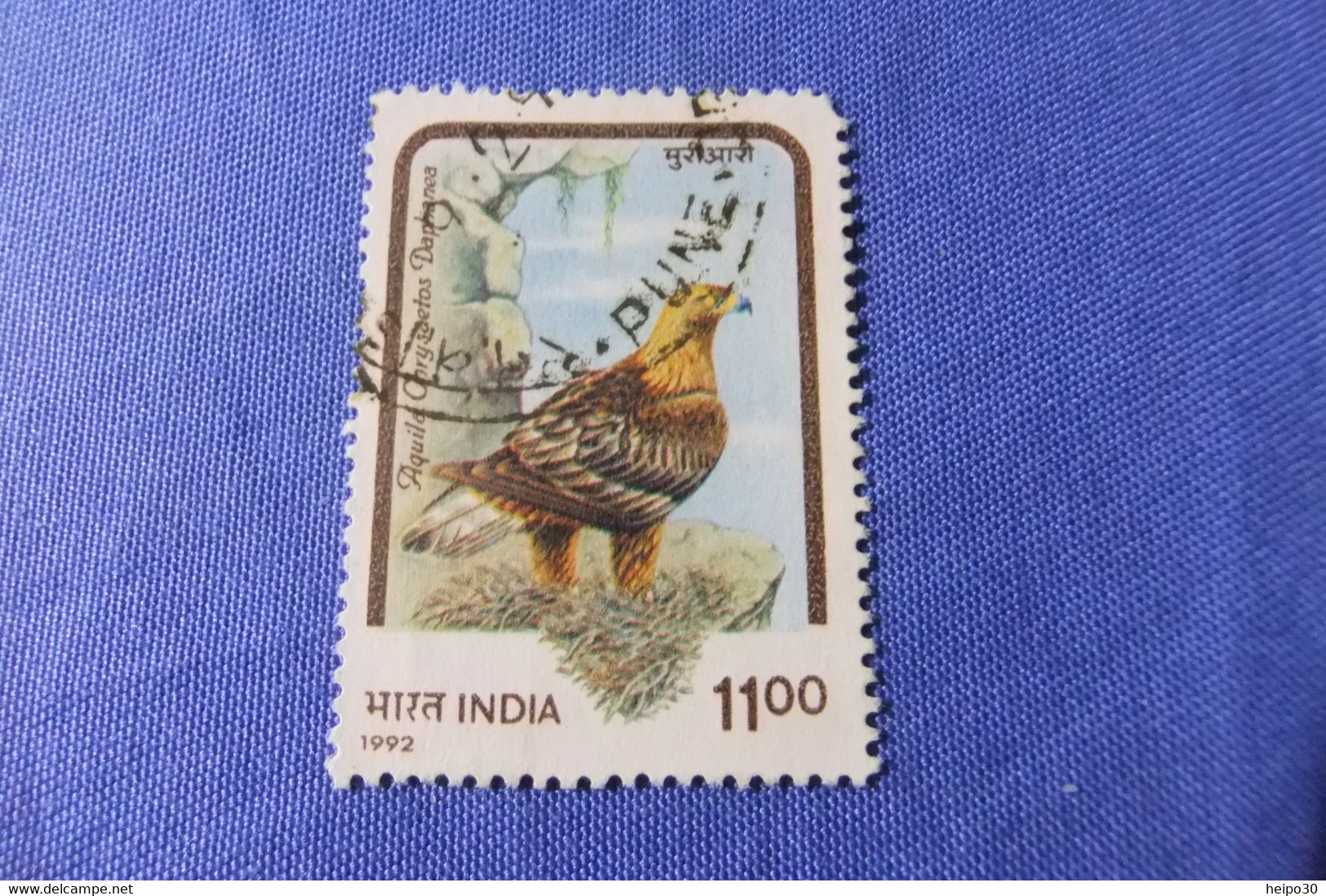 India 1992 Michel 1378 Greifvögel - Used Stamps