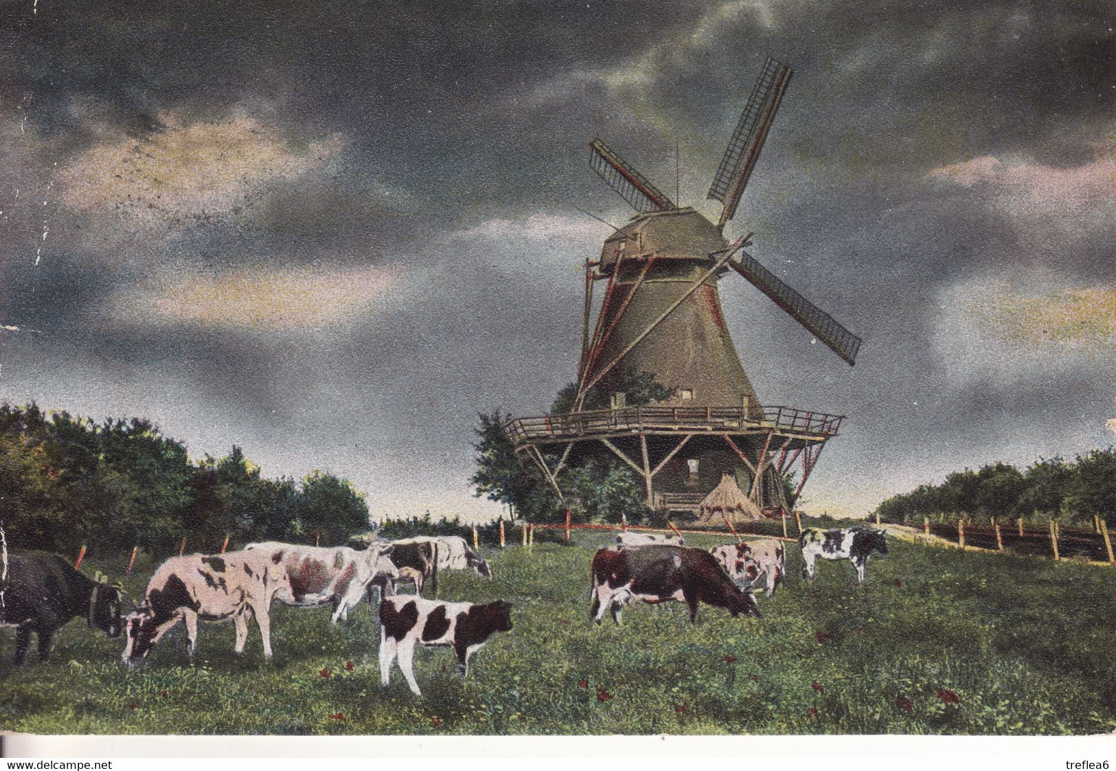 WIJNEGEM - 1915 - Le Moulin à Vent - - Wijnegem