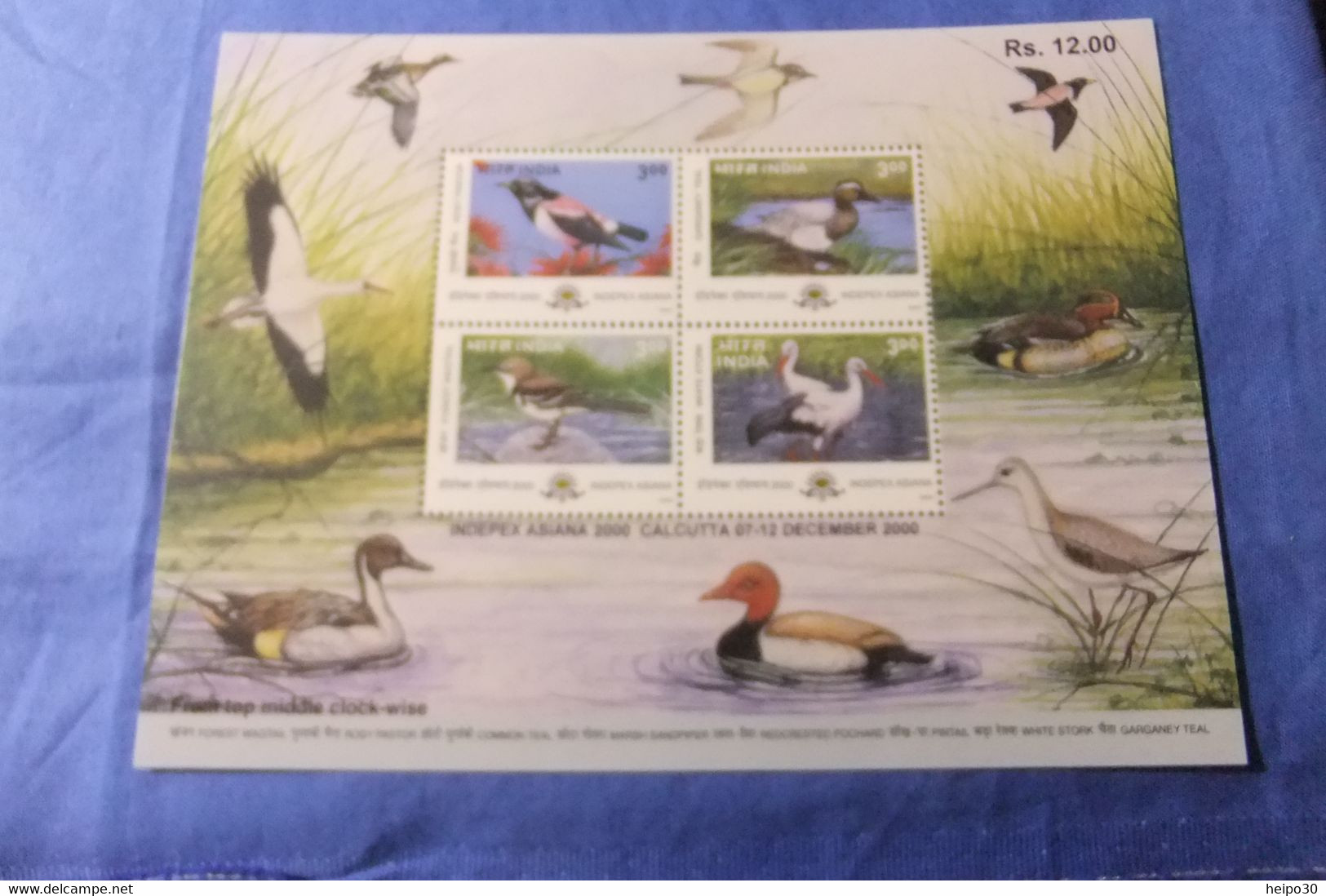 India 2000 Michel Block 10 INDIPEX 2000 MNH - Blocchi & Foglietti