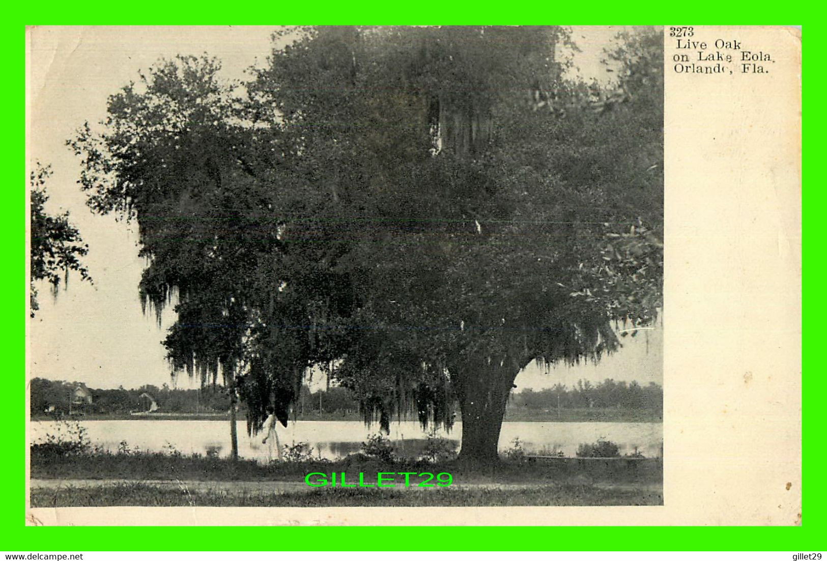ORLANDO, FL - LIVE OAK ON LAKE EOLA - ANIMATED WITH WOMAN - WRITTEN IN 1914 -  INTERNATIONAL POST CARD & MFG CO - - Orlando