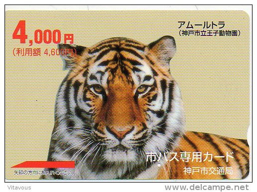Tigre Tigra Félin Animal  Carte Prépayée Japon Phonecard  J84 - Jungle