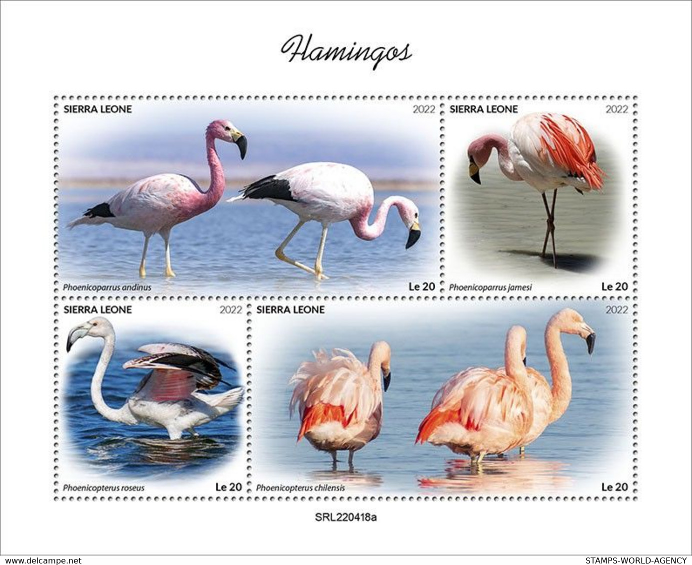 2022-08 - SIERRA LEONE - FLAMINGOS              4V    MNH** - Flamingo