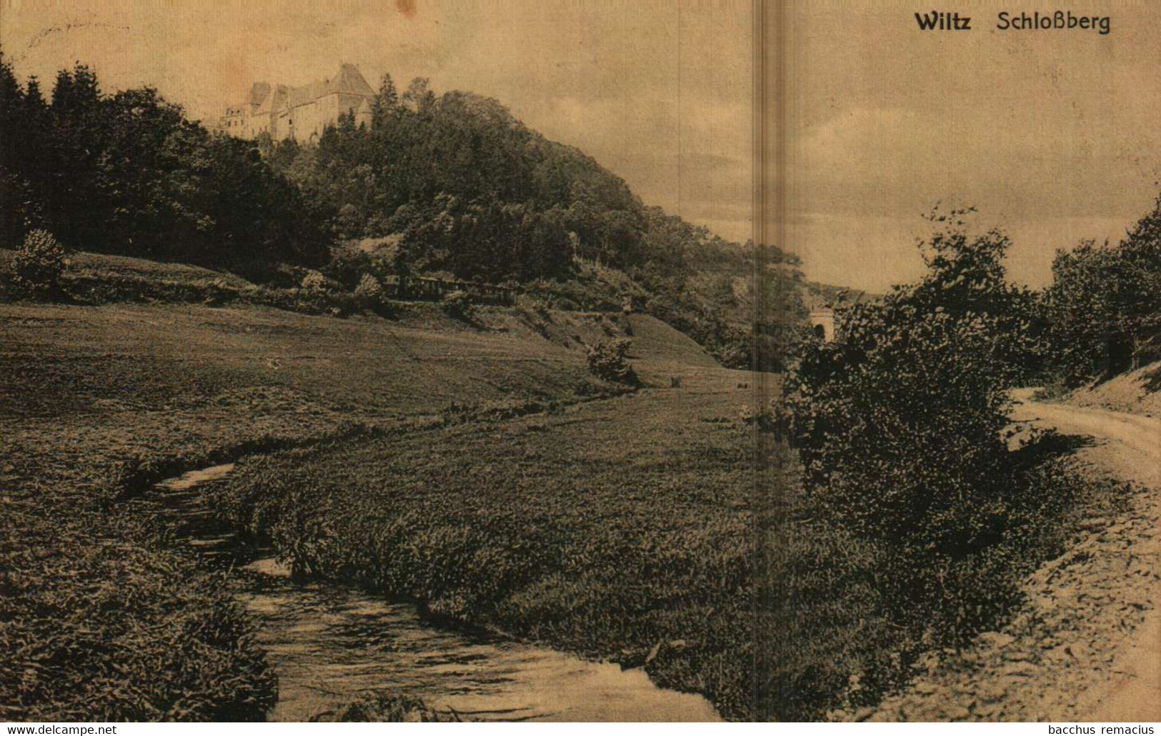 WILTZ  Schlossberg Avec Train   J.Kaemmerer, Photographe, Wiltz - Wiltz