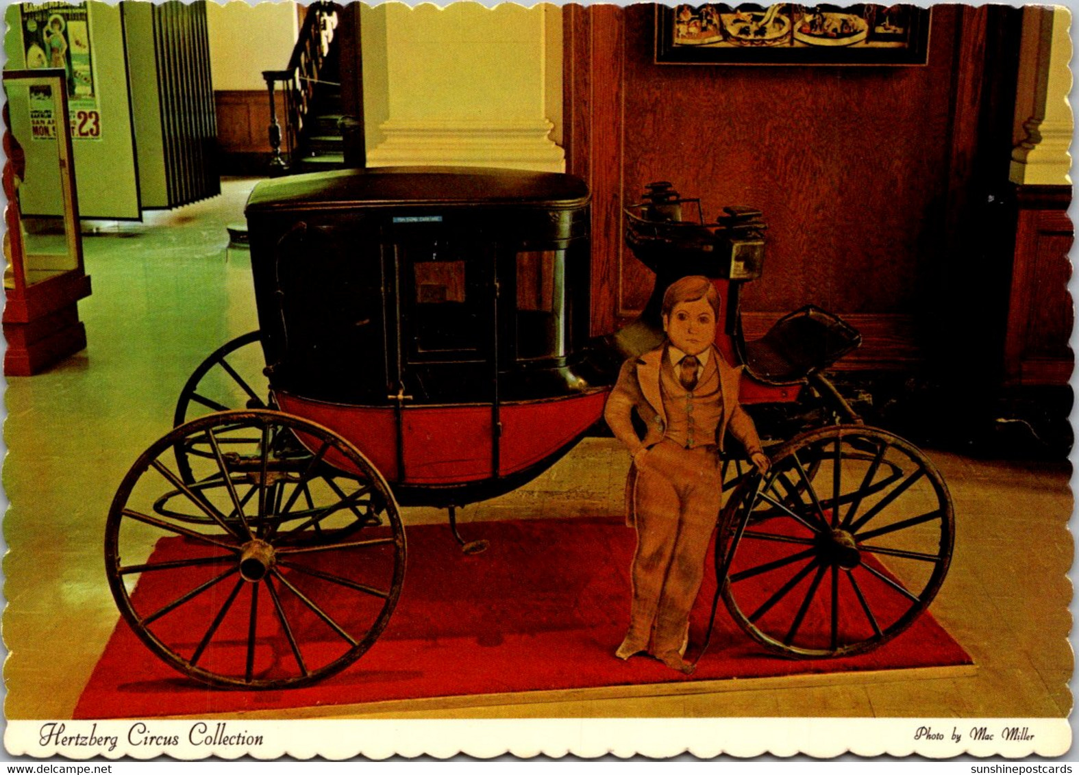 Texas San Antonio Public Library Tom Thumb Carriage Hertzberg Circus Collection - San Antonio