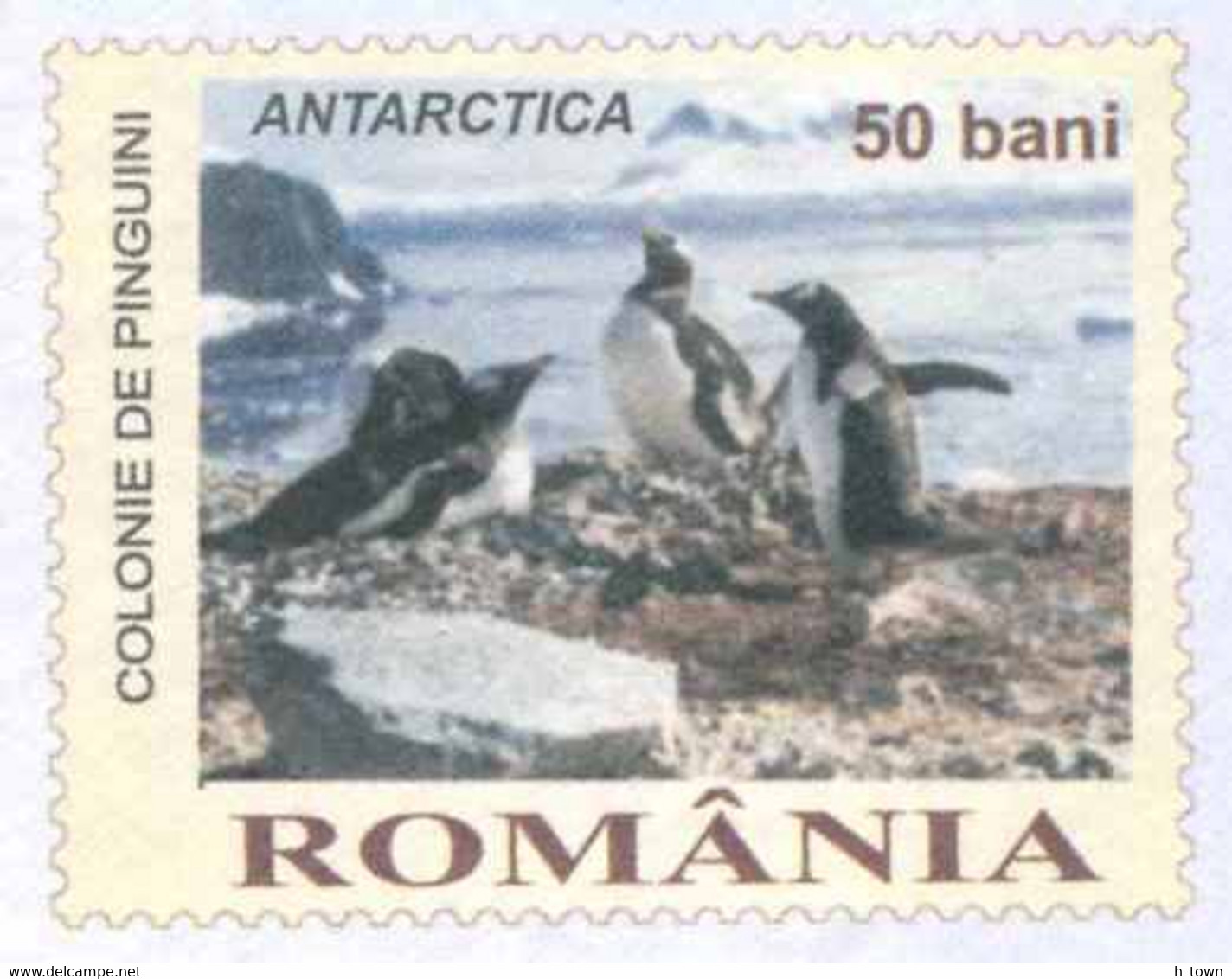 928  Pôle Sud, Manchot Pingouin: PAP 2005 - On Ski To The South Pole. Penguin Antarctica Skier Australian Flag - Fauna Antartica