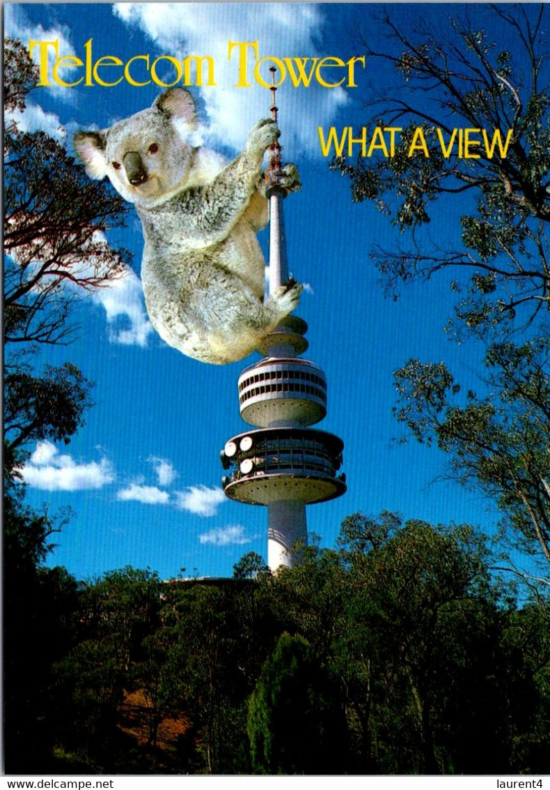 (3 M 43) Australia - ACT - Canberra Telecom Tower And Koala - Canberra (ACT)