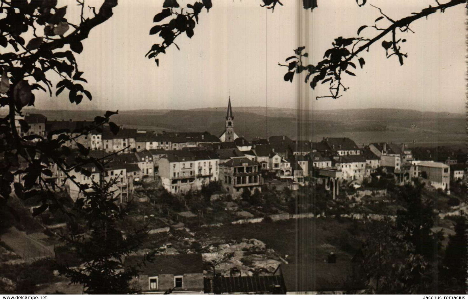 WILTZ Vue Générale Messag. P.Kraus Nr 759 - Wiltz