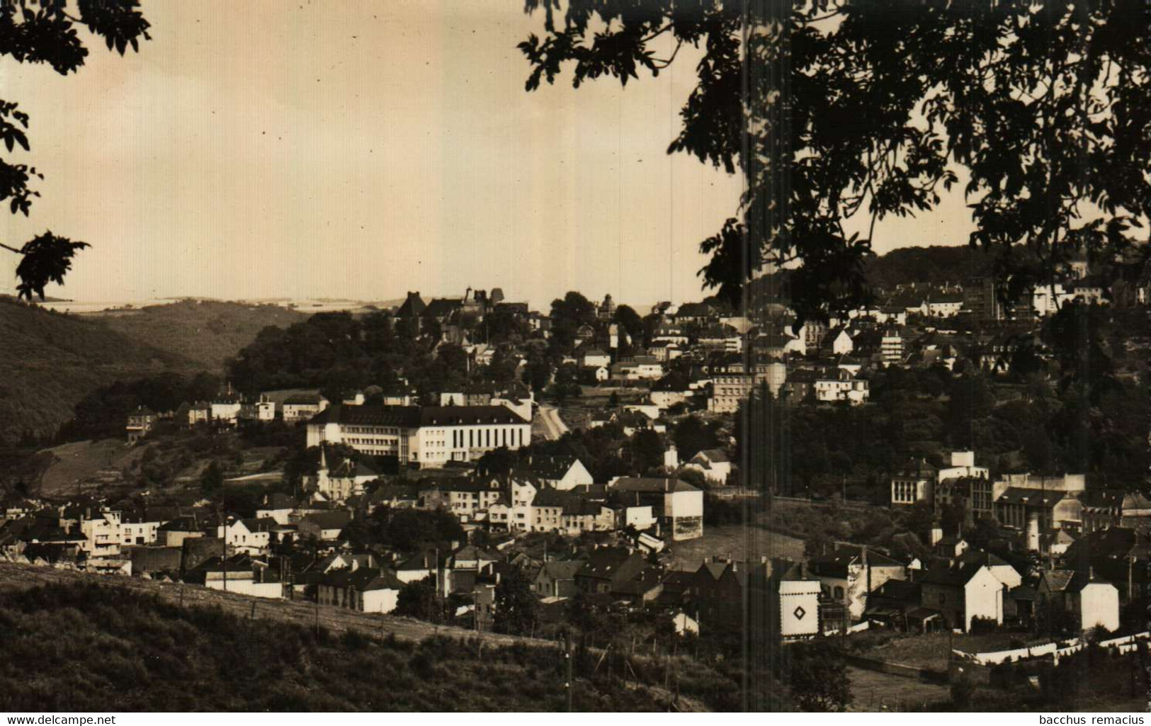 WILTZ Vue Générale Messag. P.Kraus Nr 815 - Wiltz