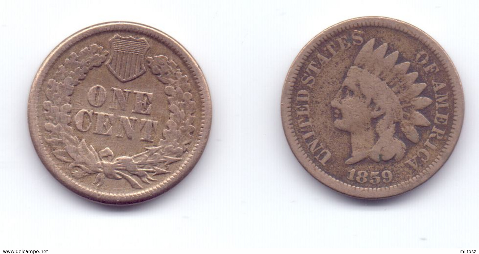 U.S.A. 1 Cent 1859 - 1859-1909: Indian Head