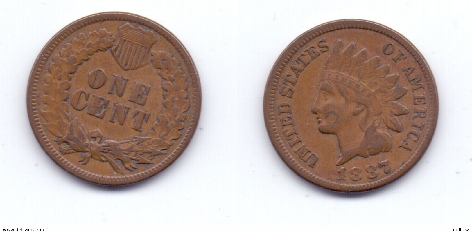 U.S.A. 1 Cent 1887 - 1859-1909: Indian Head