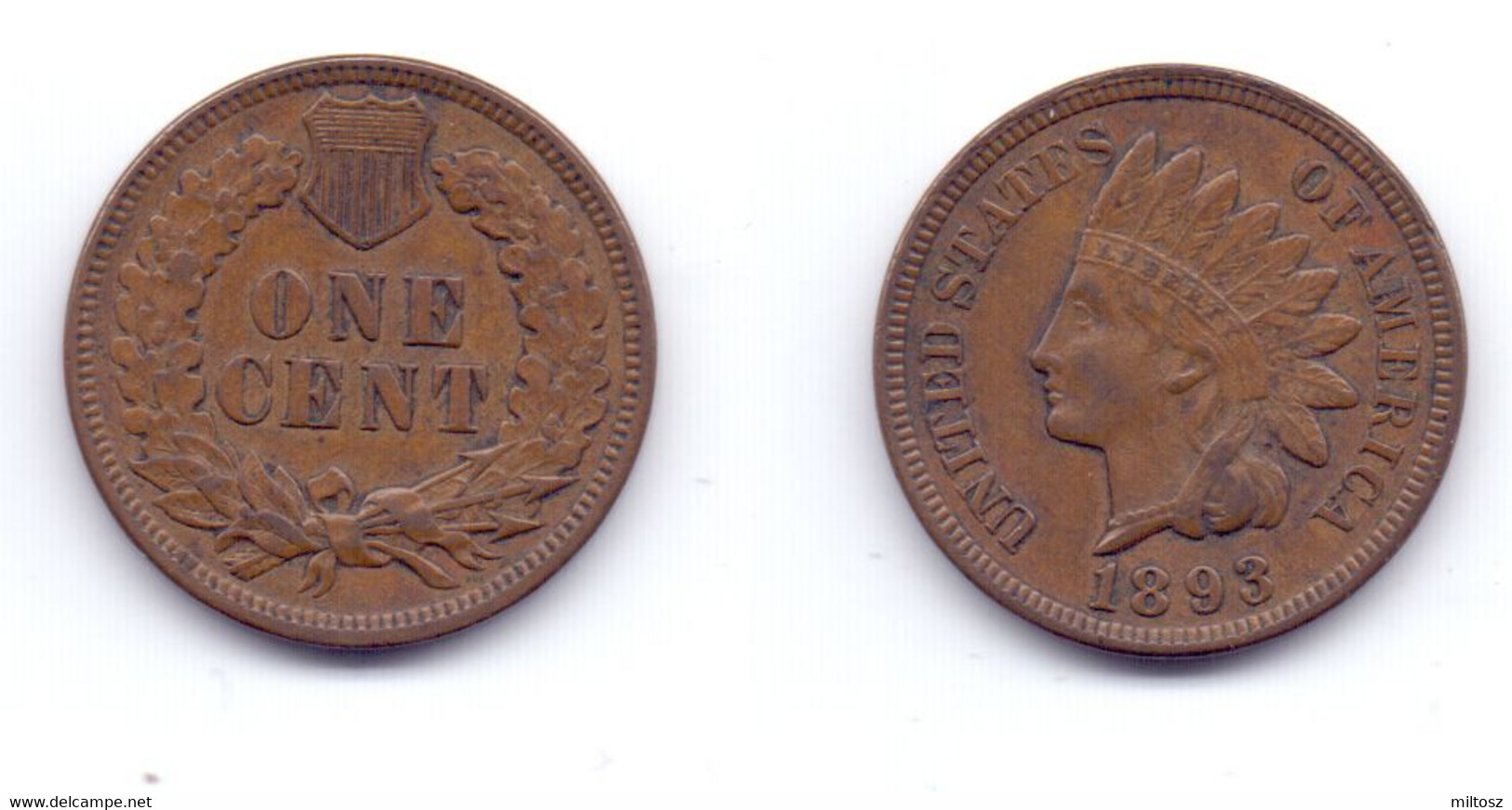 U.S.A. 1 Cent 1893 - 1859-1909: Indian Head