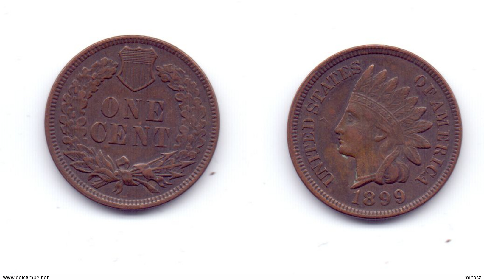 U.S.A. 1 Cent 1899 - 1859-1909: Indian Head
