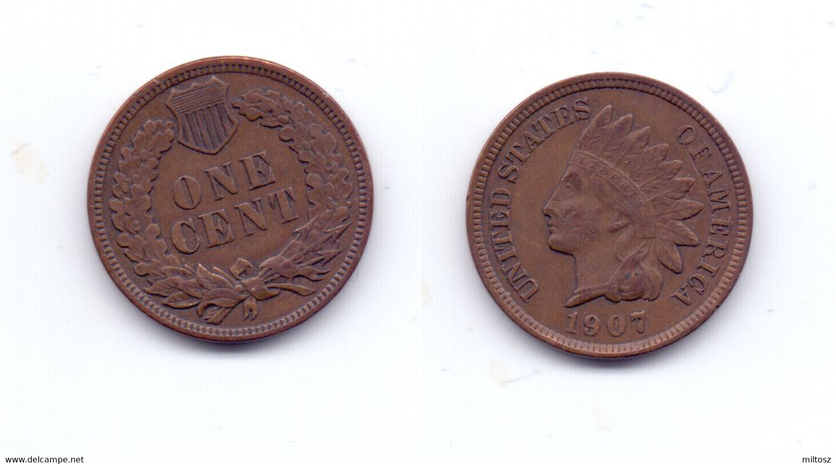 U.S.A. 1 Cent 1907 - 1859-1909: Indian Head