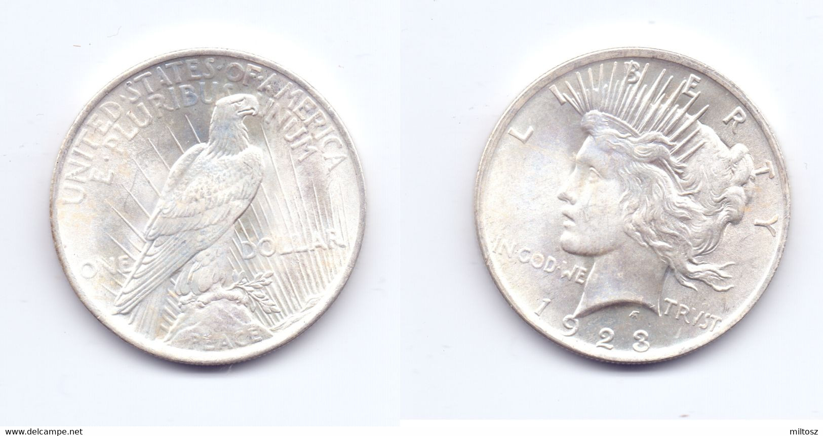 U.S.A. 1 Dollar 1923 - 1921-1935: Peace (Pace)