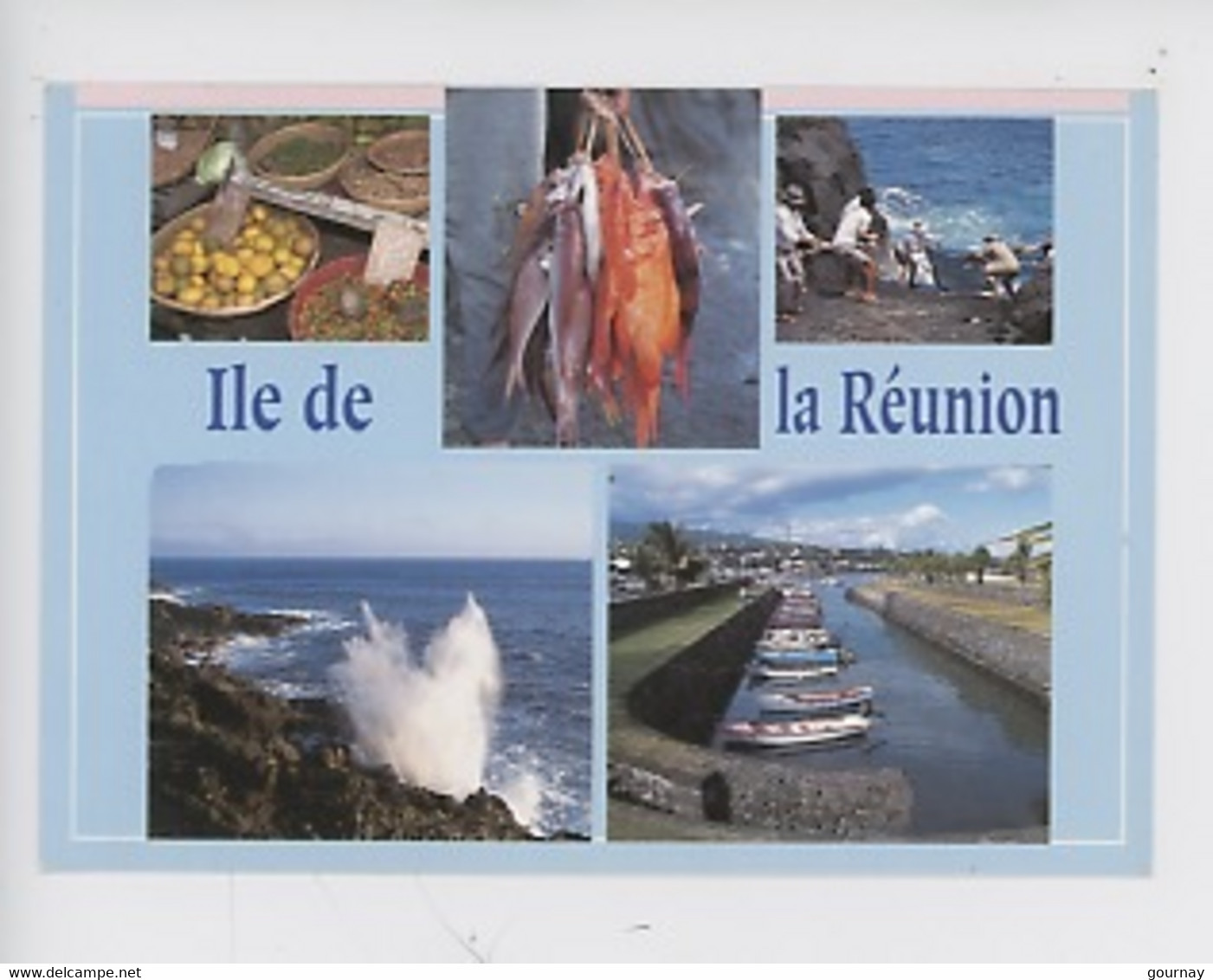 La Réunion, Scène De Pêche Dans La Région Saint Philippe Saint Pierre (multivues Métier Port Rocher Pêcheurs Marché) - Saint Pierre