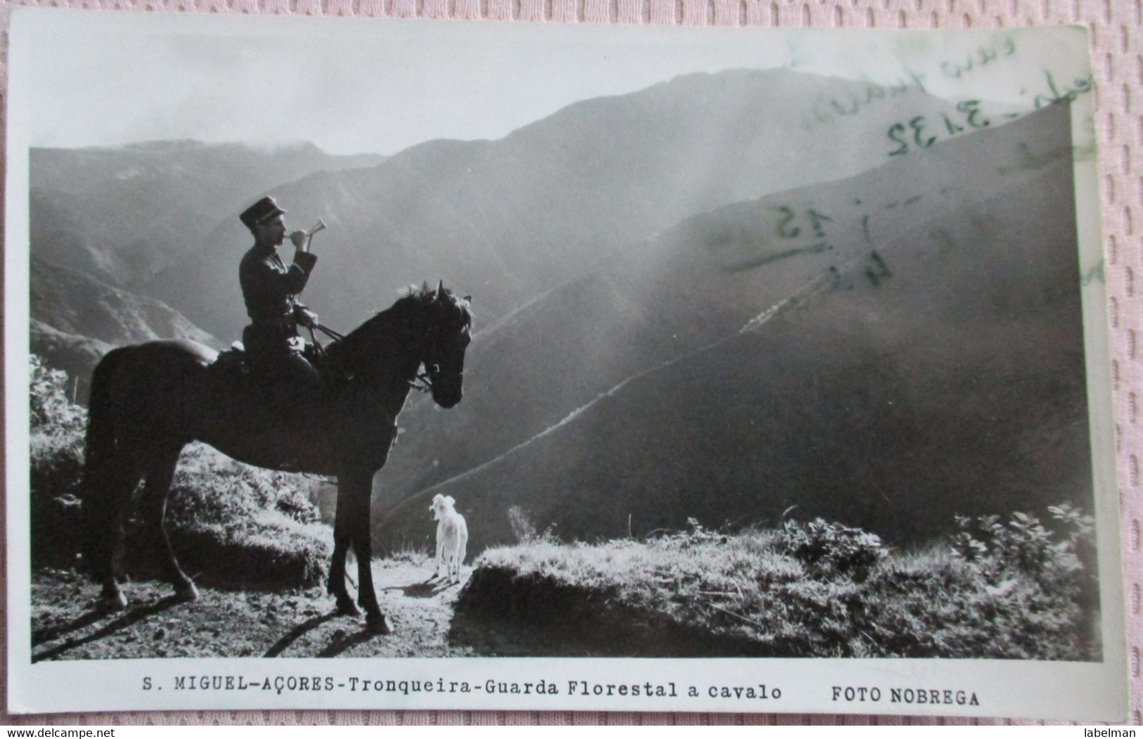 PORTUGAL SAN MIGUEL ACORES GUARDA FLORESTAL CAVALO MOUNT CARTE POSTALE CP PC AK PHOTO POSTCARD CARTOLINA CARD POSTKARTE - Portalegre