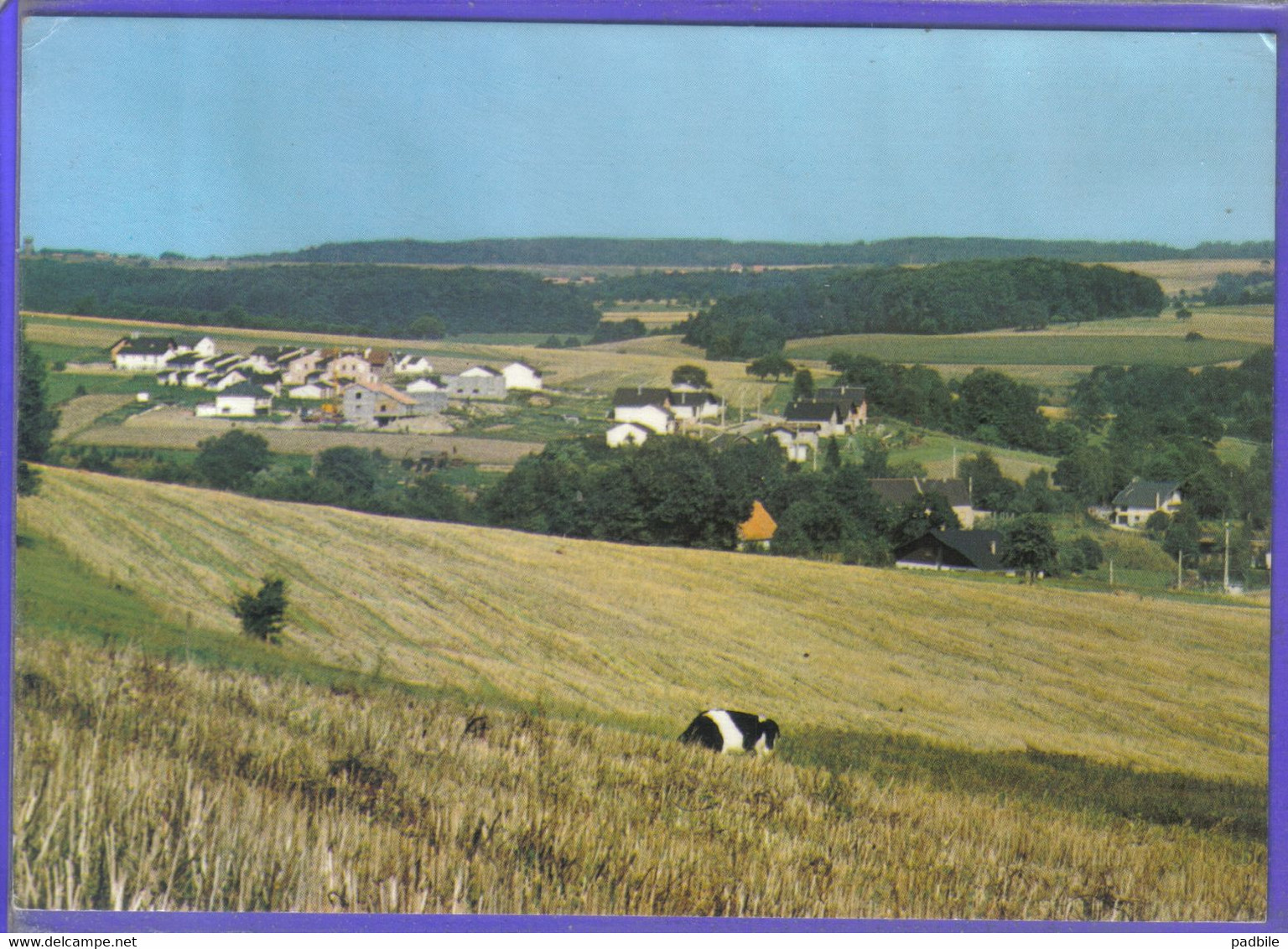 Carte Postale 57. Volmunster  La Cité Très Beau Plan - Volmunster