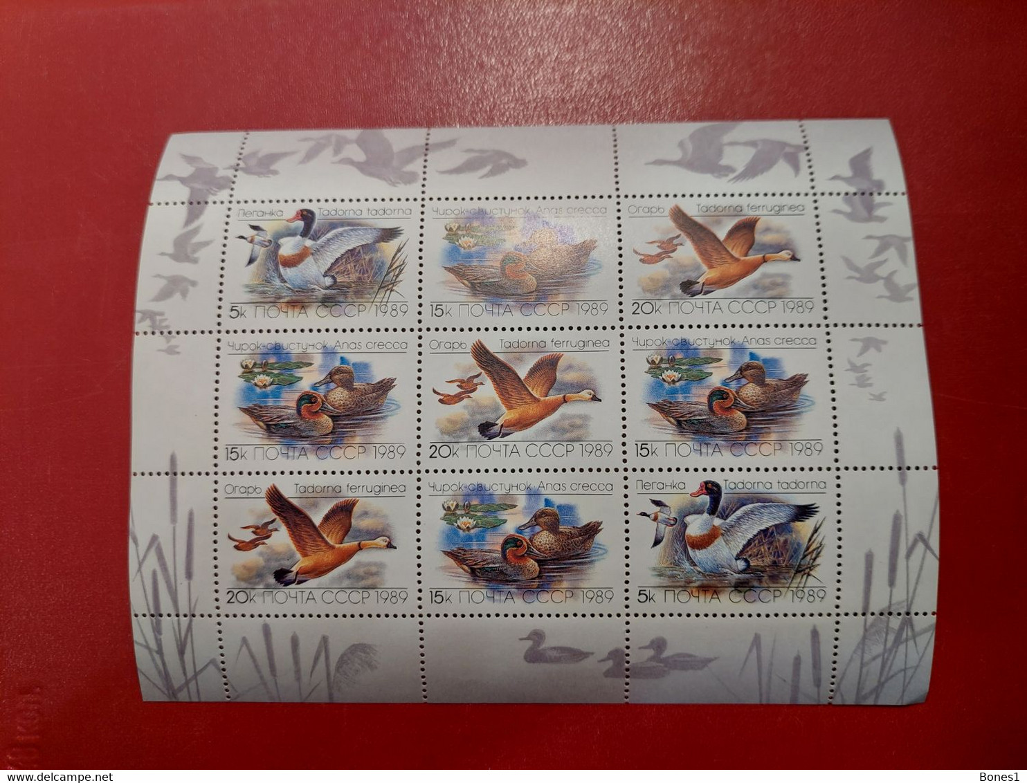 Geese Ducks 1989 Small Shett USSR - Oies