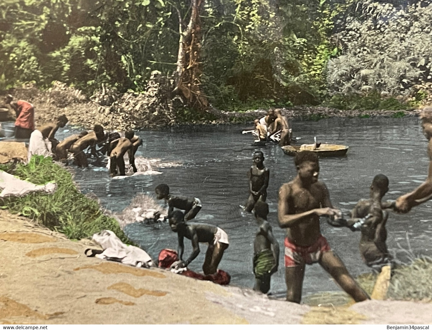 Cpa Photo L’Afrique - Côte D’Ivoire - Abidjan - La Rivière Banco - Côte-d'Ivoire