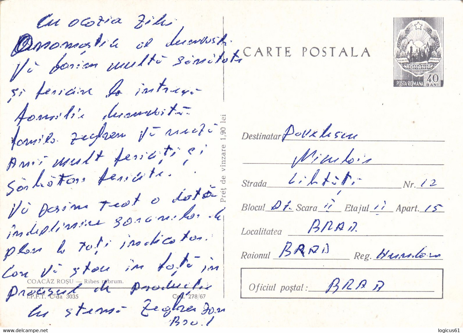 RED CURRENT: STATIONERY POSTCARD, 1967, USED, ROMANIA. - Medicinal Plants