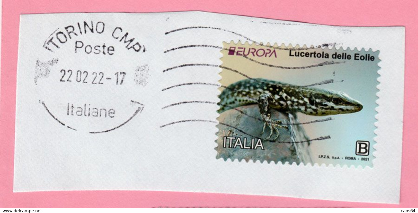 2021 ITALIA Animali Europa Lucertola Delle Eolie - B Usato Su Frammento - 2021-...: Used