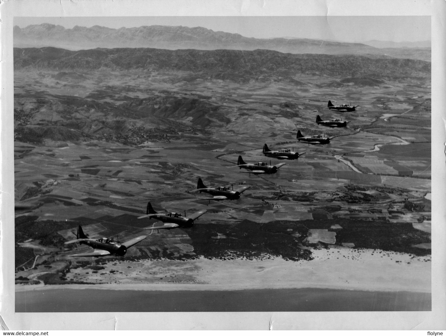 Aviation - Photo Ancienne - Avion DOUGLAS SBD Dauntless - Avions De Guerre En Vol - Militaria - 1939-1945: 2ème Guerre