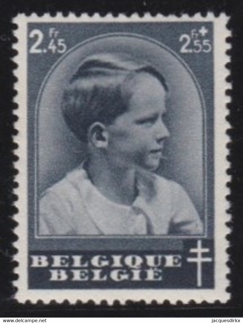 Belgie  .   OBP    .     446     .    **   .   Postfris    .   /   .  Neuf SANS Charnière - Neufs